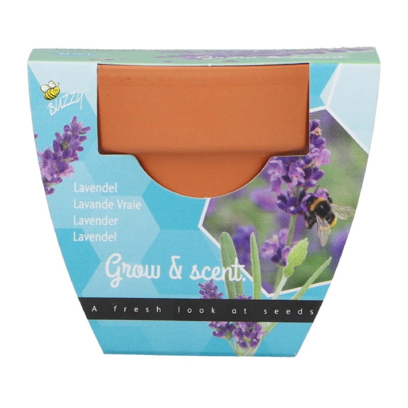 Buzzy® Grow Gifts Lavande 30pcs. en display