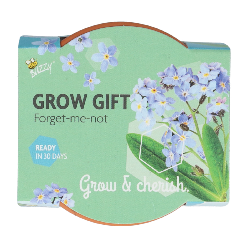 Buzzy® Grow Gifts Myosotis (30pcs. en display)