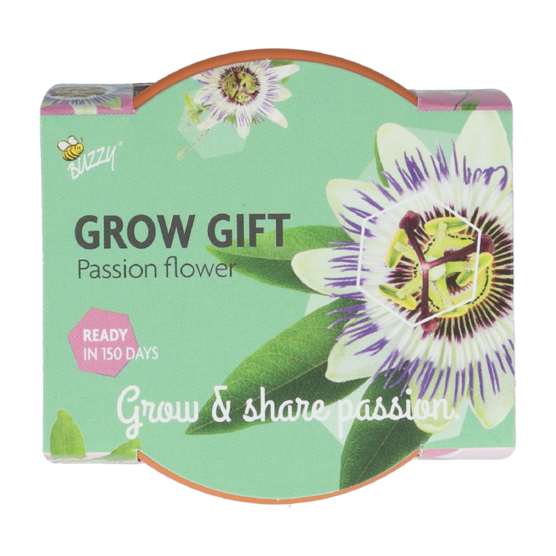 Buzzy® Grow Gifts Passiflora (display 30 pcs)