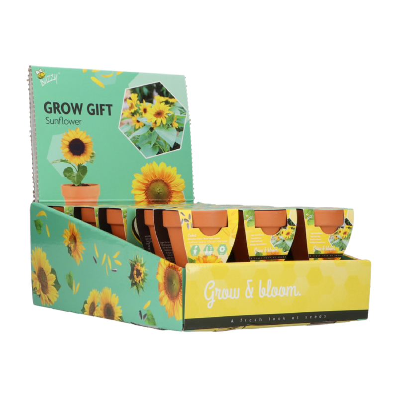Buzzy® Grow Gifts Tournesol (30pcs. en display)