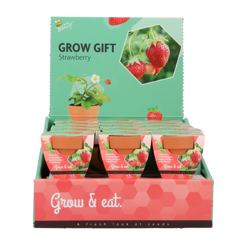 Buzzy® Grow Gifts Aardbei 30st. in display