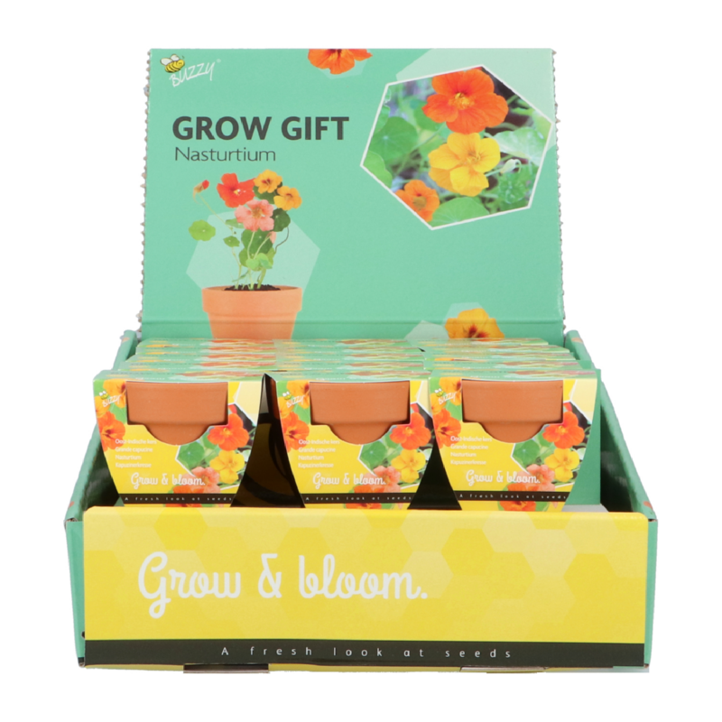 Buzzy® Grow Gifts Capucines  (30pcs. par display)