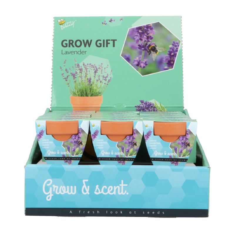 Buzzy® Grow Gifts Lavande 30pcs. en display
