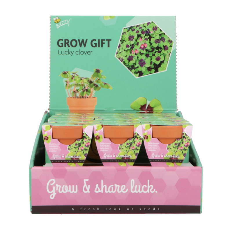 Buzzy® Grow Gifts  Lucky Clover (30pcs. en display)
