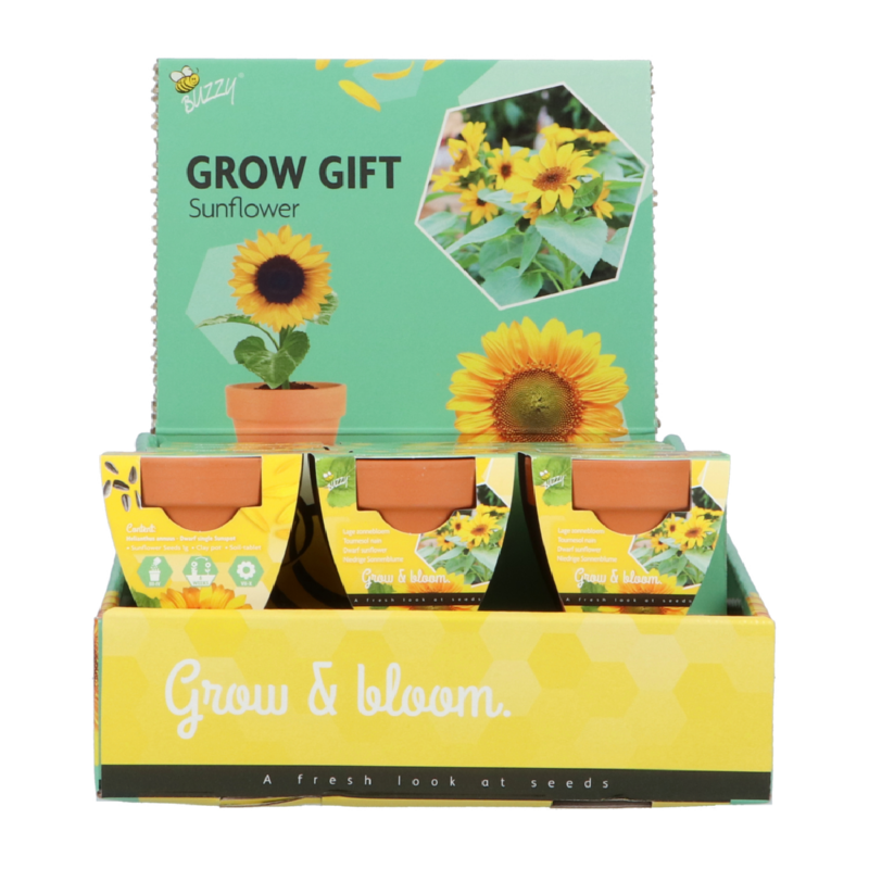 Buzzy® Grow Gifts Tournesol (30pcs. en display)