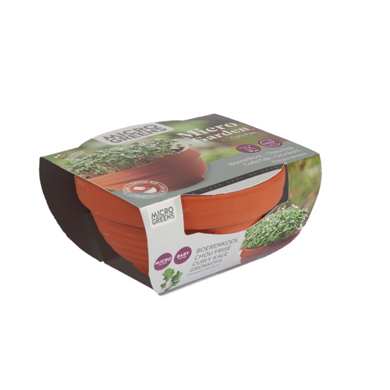Buzzy® Microgreens Terracotta schaal Boerenkool