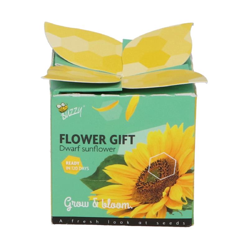 Buzzy® Display Flower Gift Tournesol