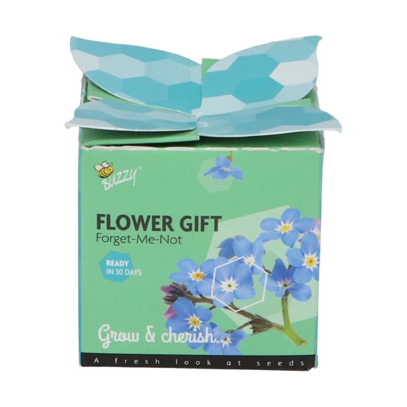 Buzzy® Display Flower Gift Myosotis