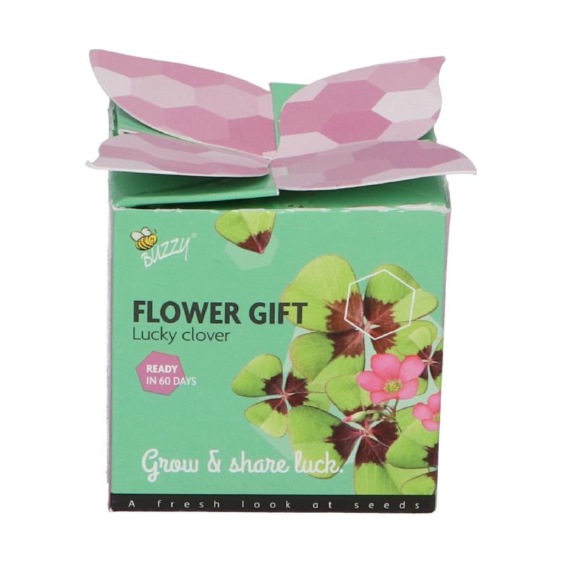 Buzzy® Display Flower Gift Lucky Clover