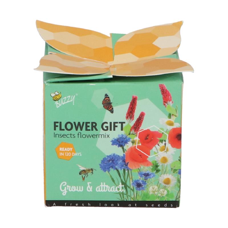 Buzzy® Display Flower Gift Insectes Melange