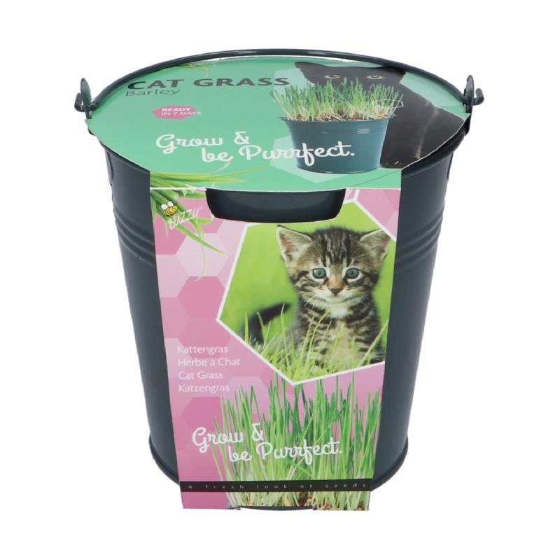Buzzy® Kattengras emmertje