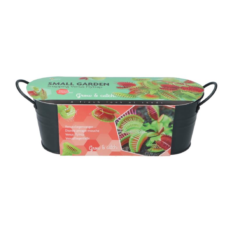 Buzzy® Jardinières Small Garden Venus Fly Trap