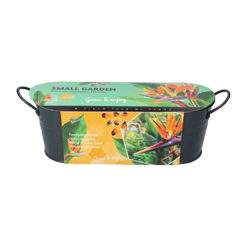 Buzzy® Jardinières Small Garden Birds of Paradise