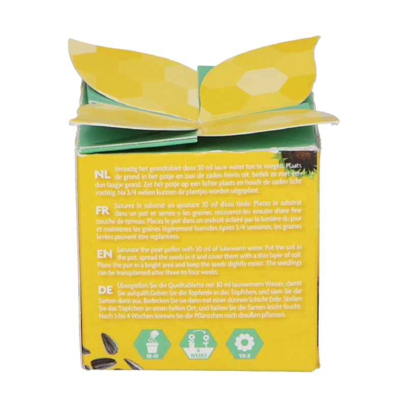 Buzzy® Display Flower Gift Tournesol