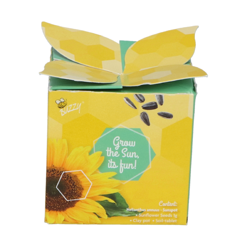 Buzzy® Display Flower Gift Tournesol