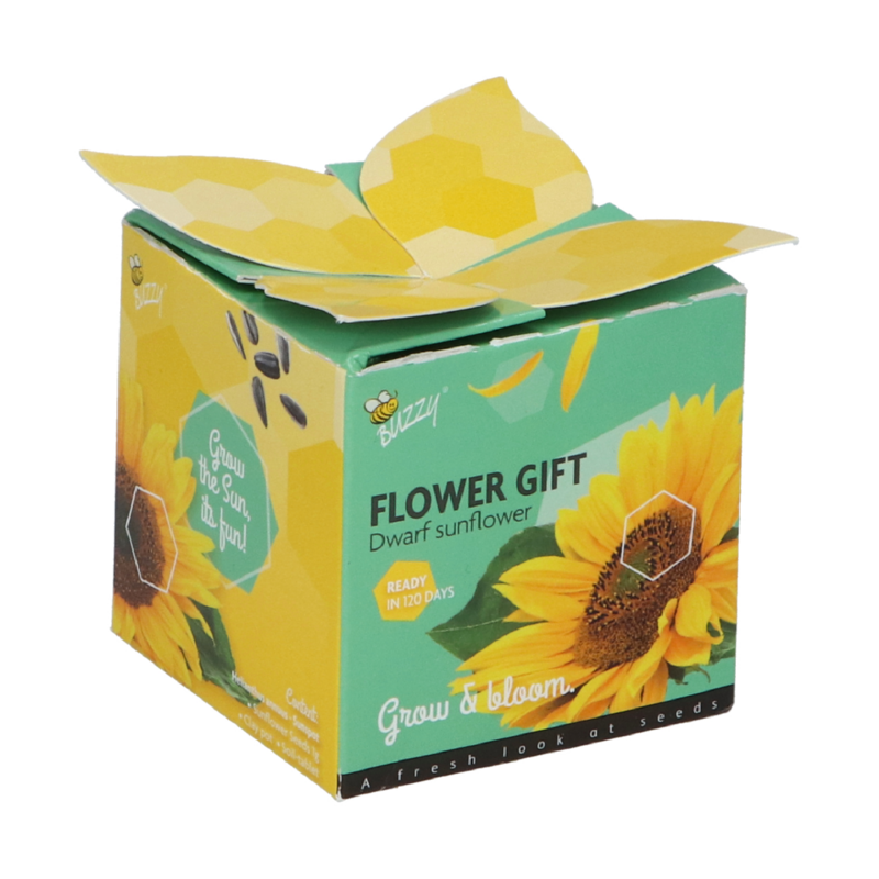 Buzzy® Display Flower Gift Zonnebloem (48)