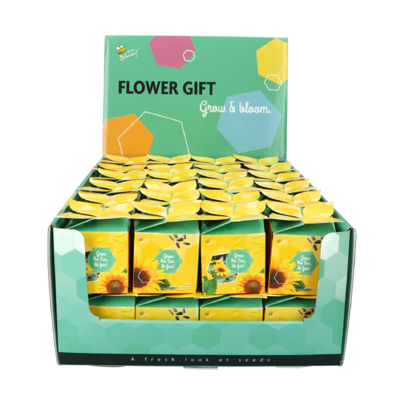 Buzzy® Display Flower Gift Zonnebloem (48)