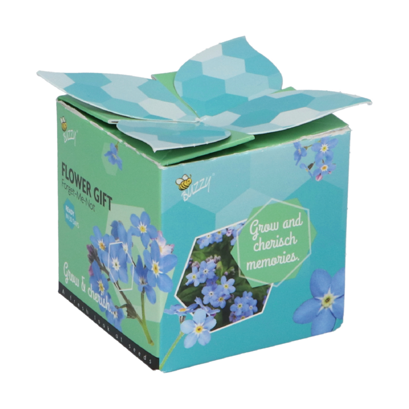 Buzzy® Display Flower Gift Myosotis