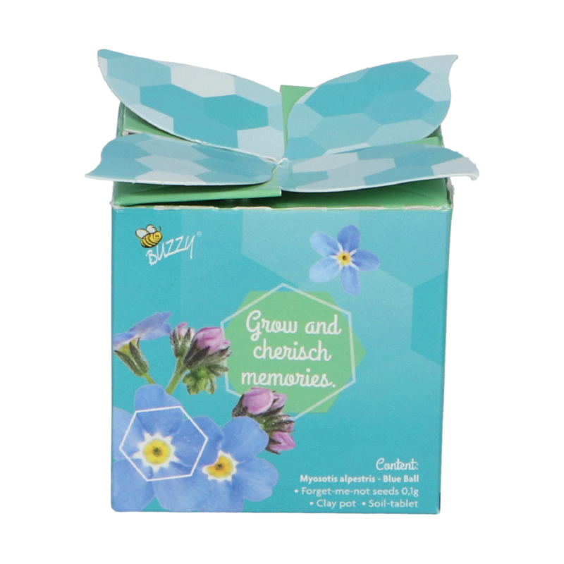 Buzzy® Display Flower Gift Myosotis