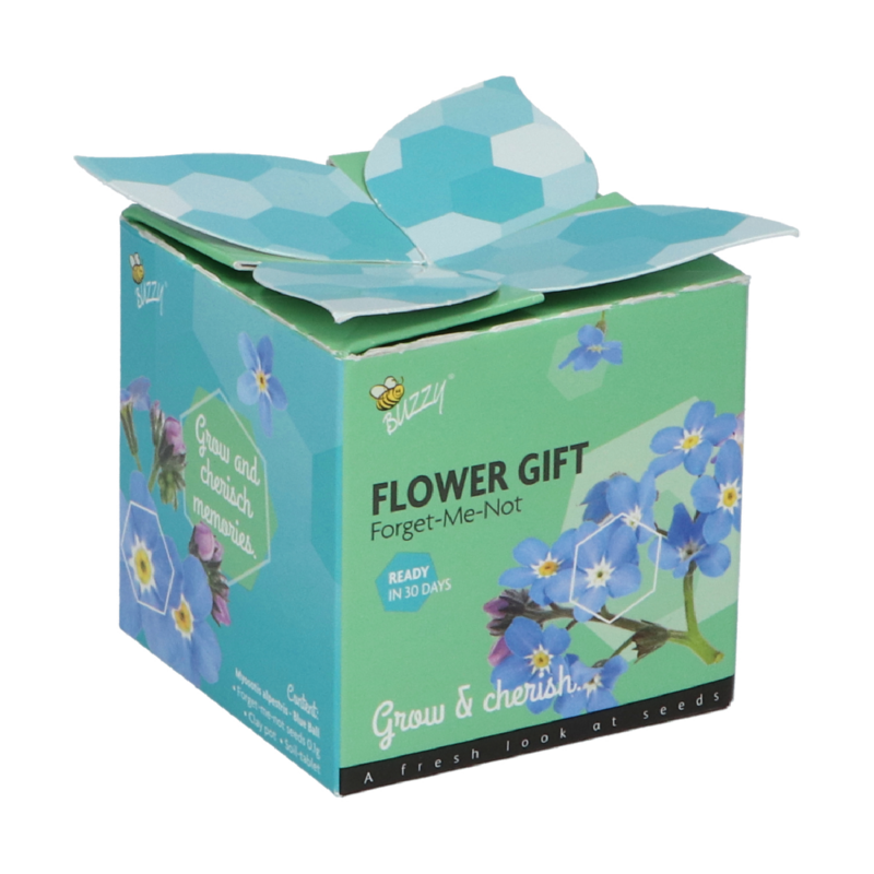 Buzzy® Display Flower Gift Myosotis