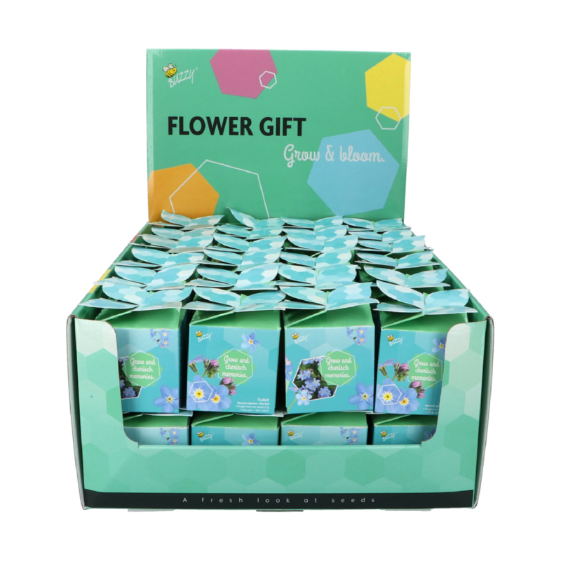 Buzzy® Display Flower Gift Myosotis