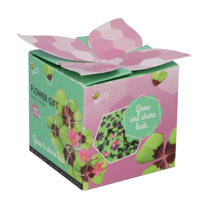 Buzzy® Display Flower Gift Lucky Clover