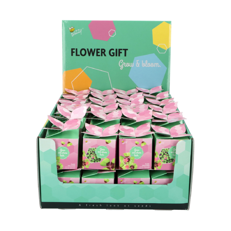 Buzzy® Display Flower Gift Lucky Clover
