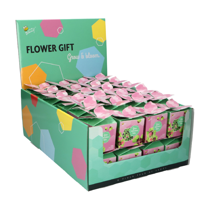 Buzzy® Display Flower Gift Lucky Clover