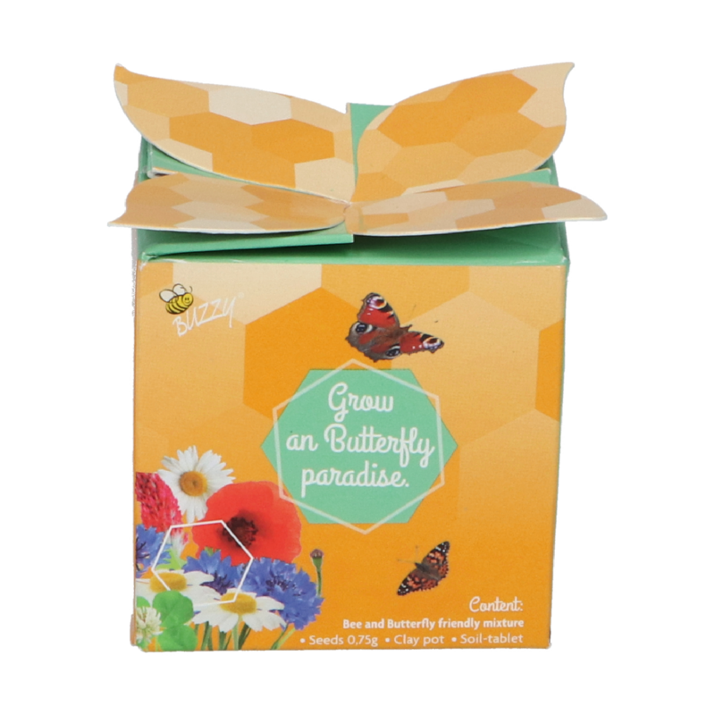 Buzzy® Display Flower Gift Insectes Melange