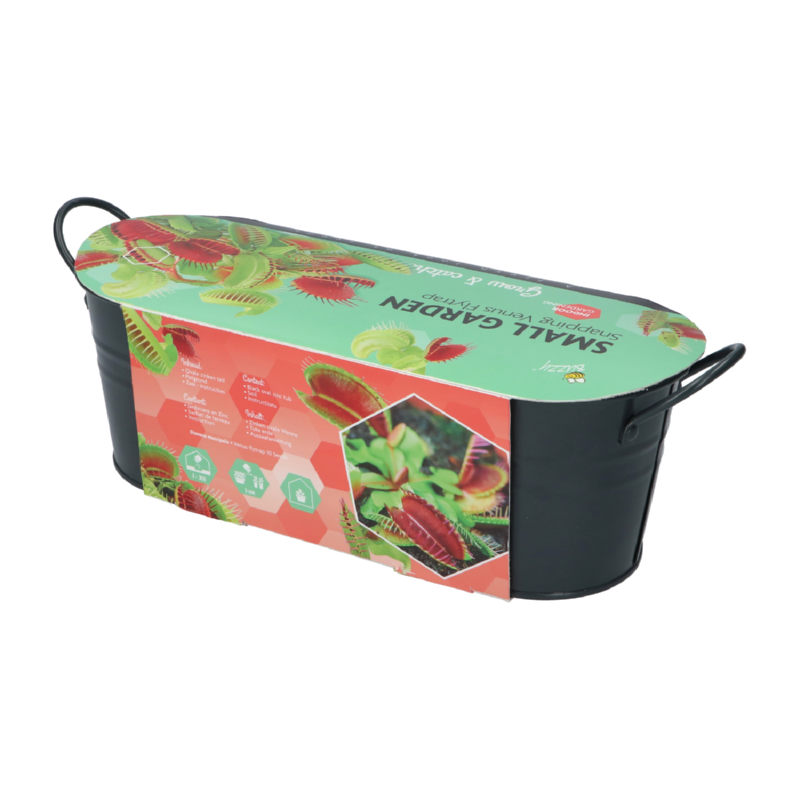 Buzzy® Jardinières Small Garden Venus Fly Trap
