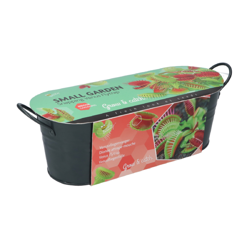 Buzzy® Jardinières Small Garden Venus Fly Trap