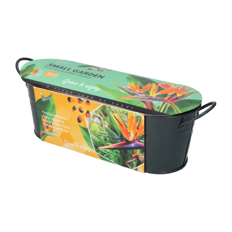 Buzzy® Jardinières Small Garden Birds of Paradise