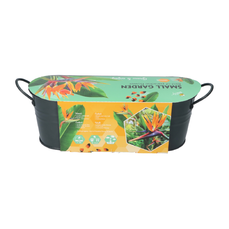 Buzzy® Jardinières Small Garden Birds of Paradise