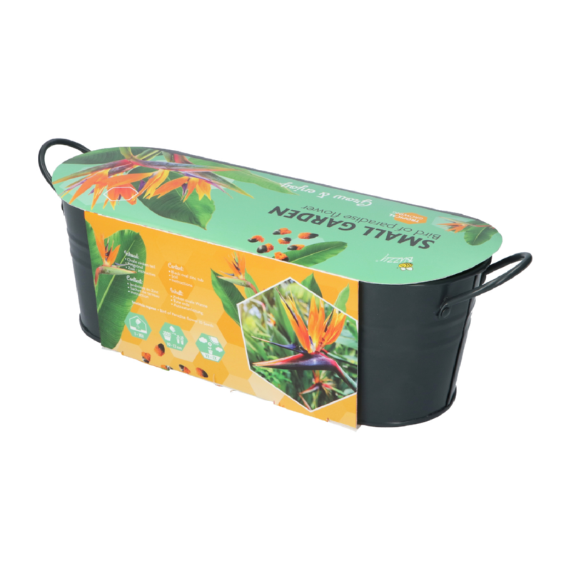 Buzzy® Jardinières Small Garden Birds of Paradise