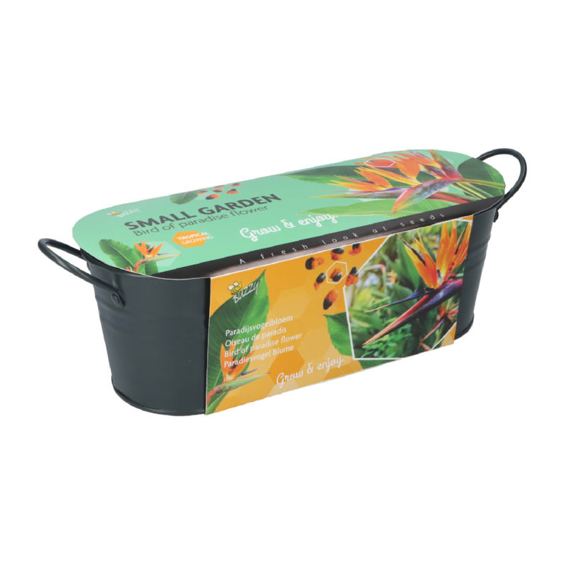 Buzzy® Jardinières Small Garden Birds of Paradise