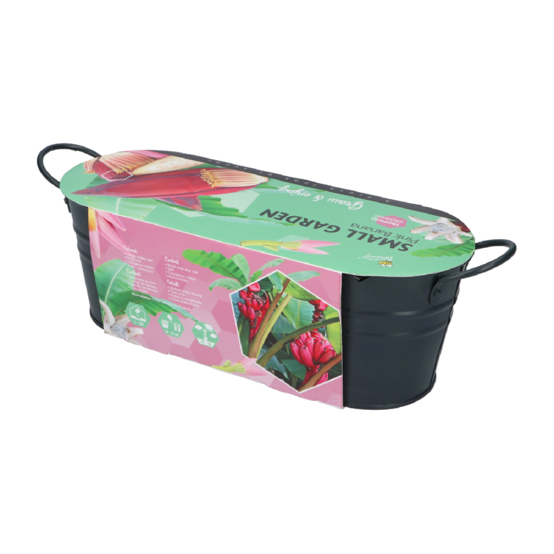 Buzzy® Jardinières Antraciet Banana