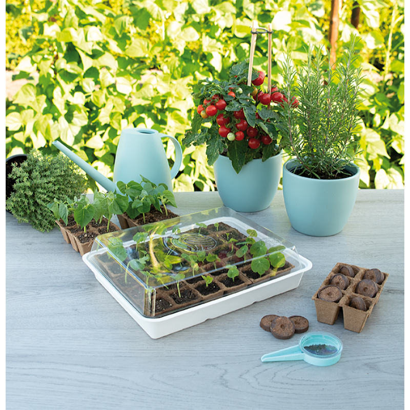 SOGO Display Eco Kweekbak (24st)