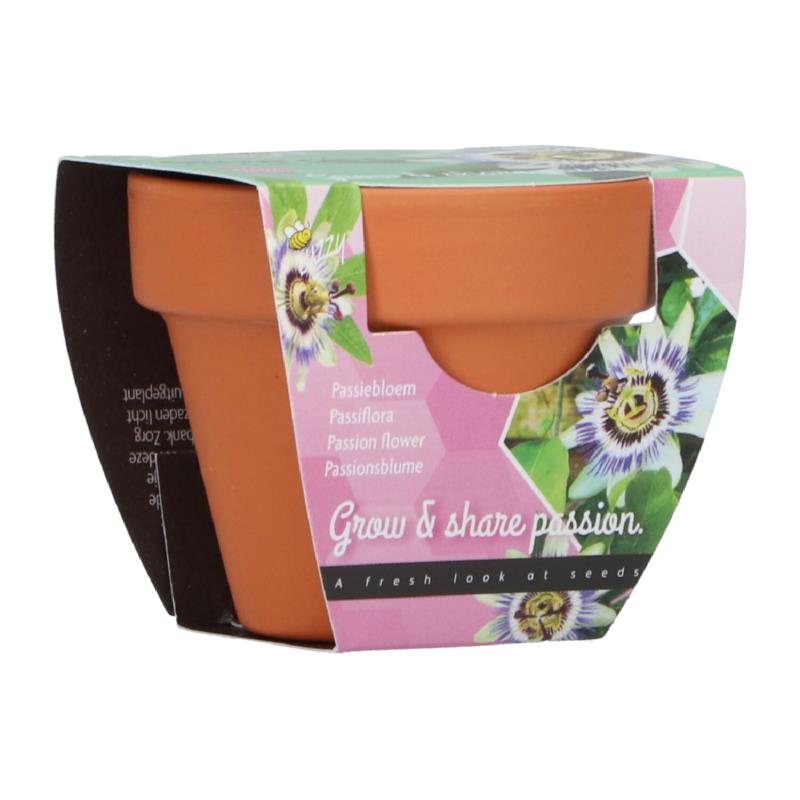 Buzzy® Grow Gifts Passiflora 30st. in display