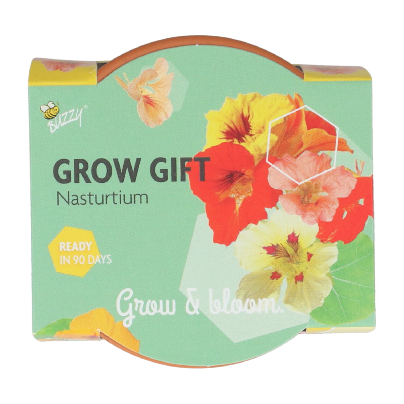 Buzzy® Grow Gifts Capucines  (30pcs. par display)