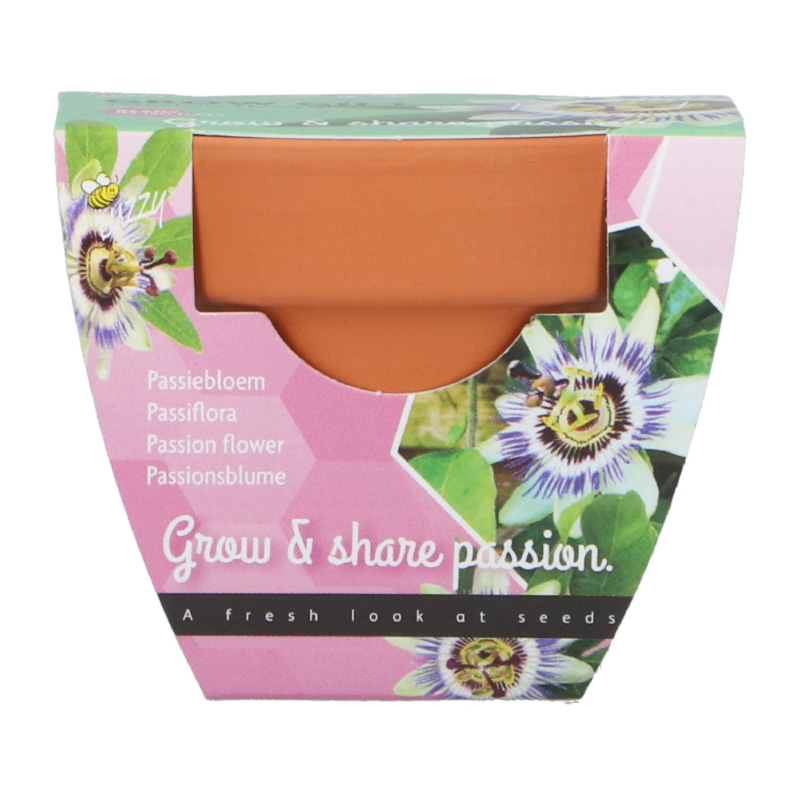 Buzzy® Grow Gifts Passiflora (display 30 pcs)