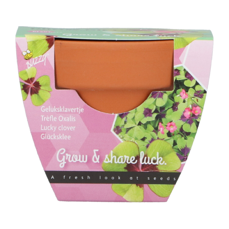 Buzzy® Grow Gifts  Lucky Clover (30pcs. en display)