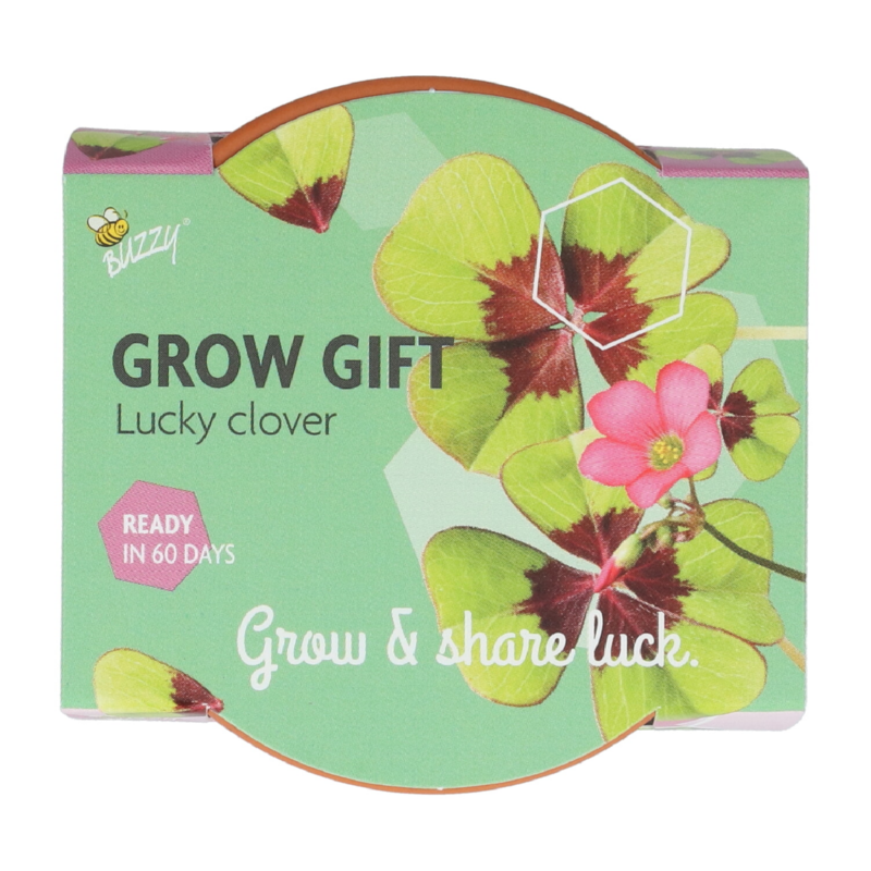 Buzzy® Grow Gifts  Lucky Clover (30pcs. en display)