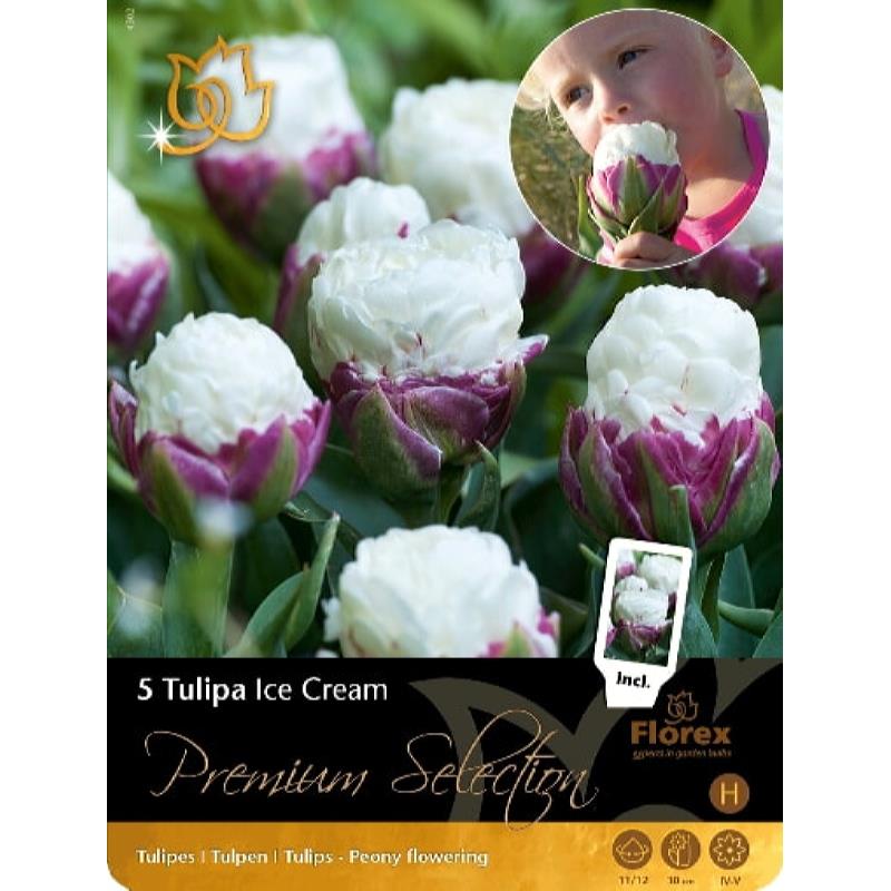Premium Tulp Ice Cream 11/12  5st.