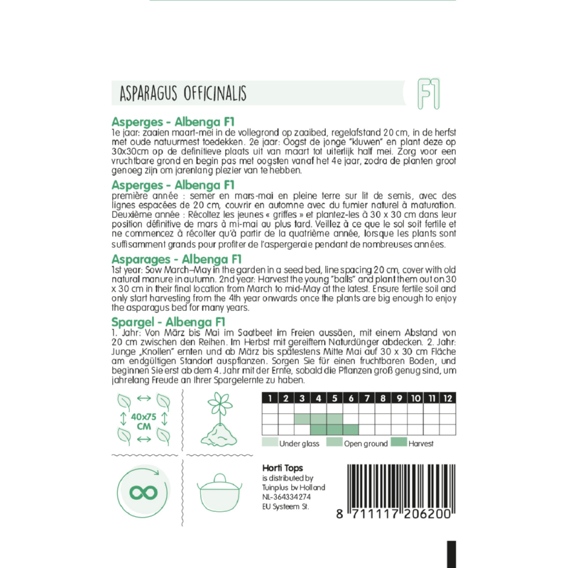 HT Paarse Asperge Albenga F1