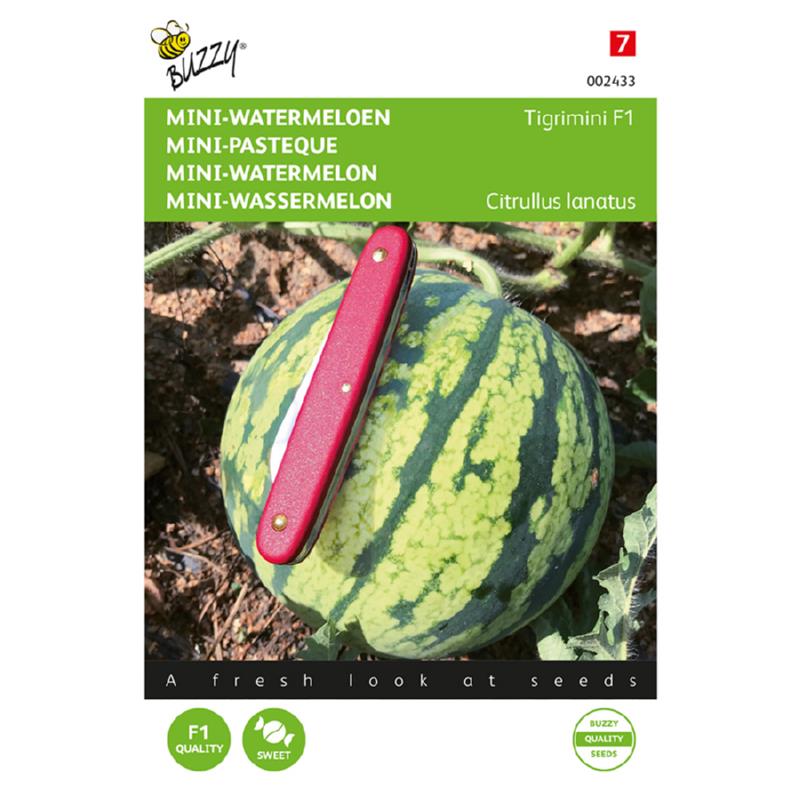 Buzzy® Mini-Watermeloen Tigrimini F1