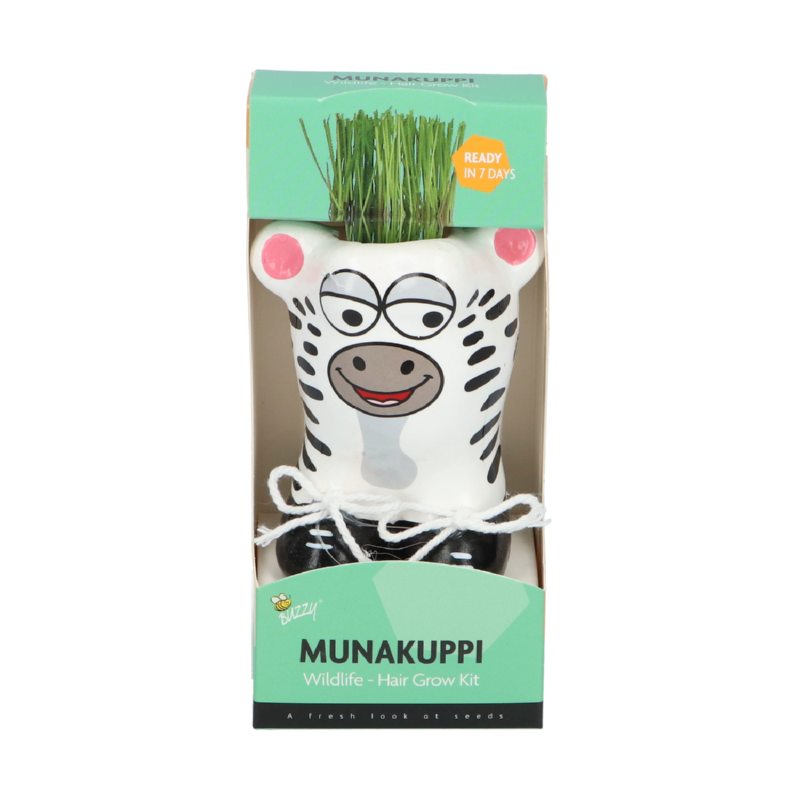 Display Buzzy® Munakuppi Wildlife 20st