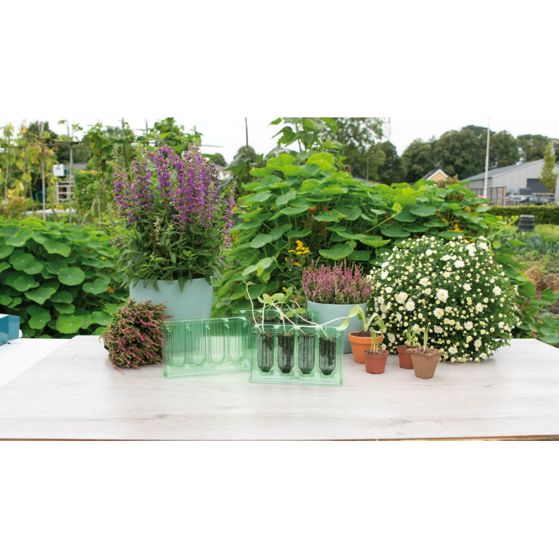 SOGO Kweekcel boekje 4 vaks 3,5x10cm Set 5st.