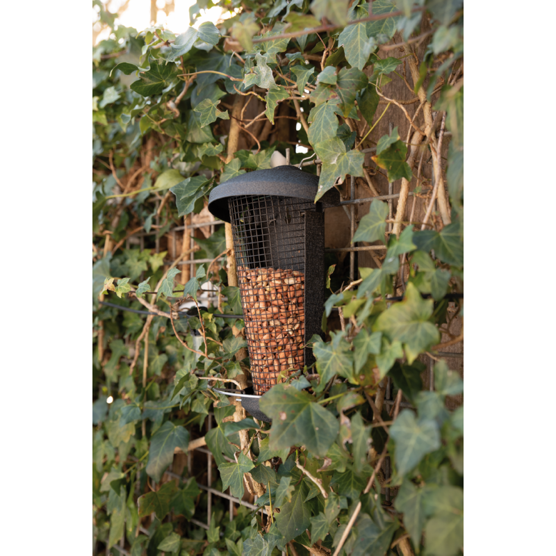 Bûten Gift blacksteel Wall peanut feeder