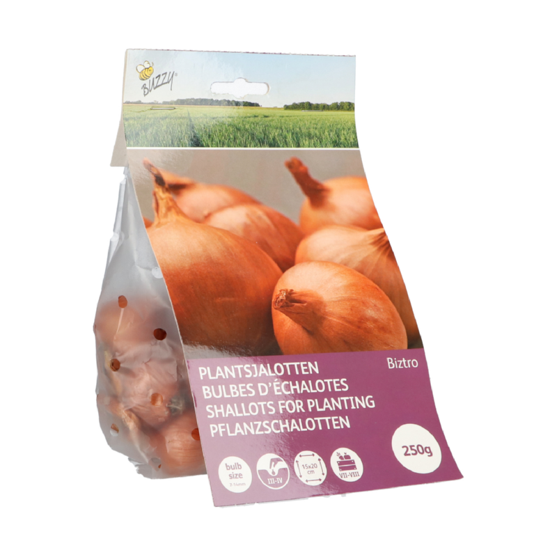 Plantsjalotten Biztro met capper 250g