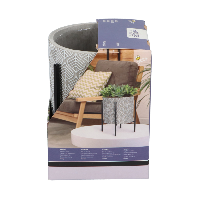 Buzzy® House Plants – plante d'intérieur avec pot Aloe Vera